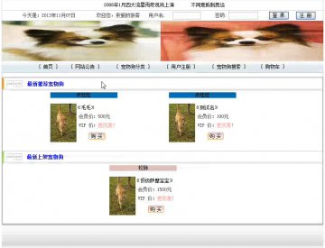 097+jsp宠物狗销售系统+sqlserver（150元）