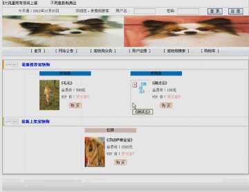 0065+jsp宠物狗销售系统+sqlserver（150元）