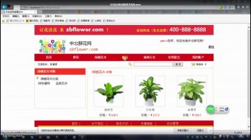 050+jsp花店预定限时发货系统ssh+sqlserver（150元）