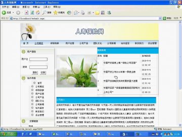 017+.net蓝天b2c保险网（150元）