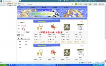 524+.net布拉格饰品网（150元）