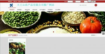 500+php52155大王山农产品有限公司推广网站（程序