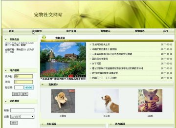 php460宠物社交网站（程序+论文）500元